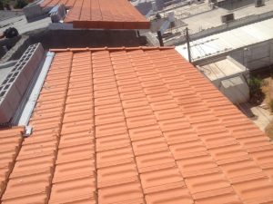 IMG_2828 (Medium)